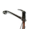 Roma tap with shower head