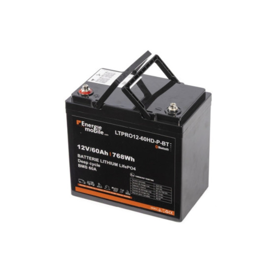 Batterie Lithium LTPRO...