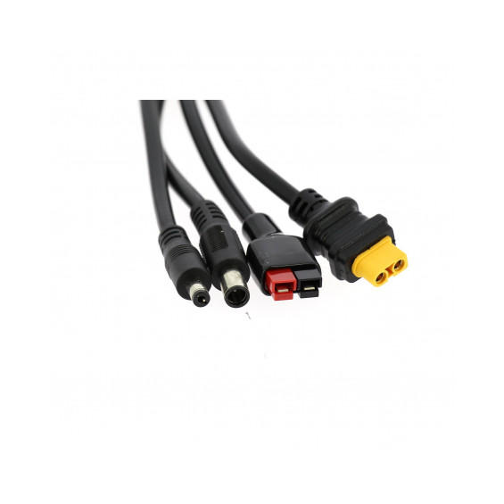 Kit de conectores del panel solar EZA 100W: cable MC4, adaptadores DC5521, DC7909, XT60 y Anderson