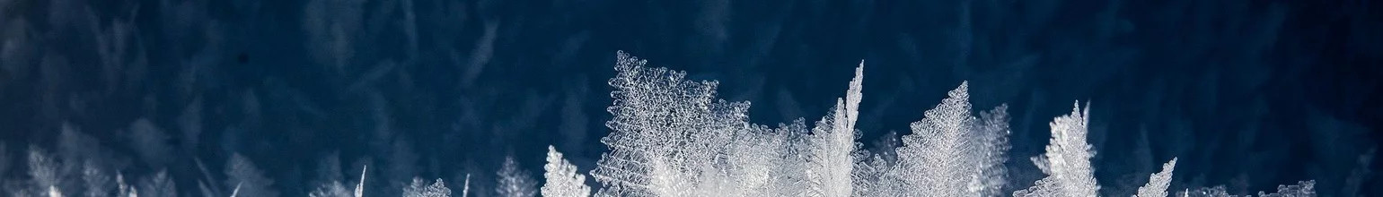 Le froid